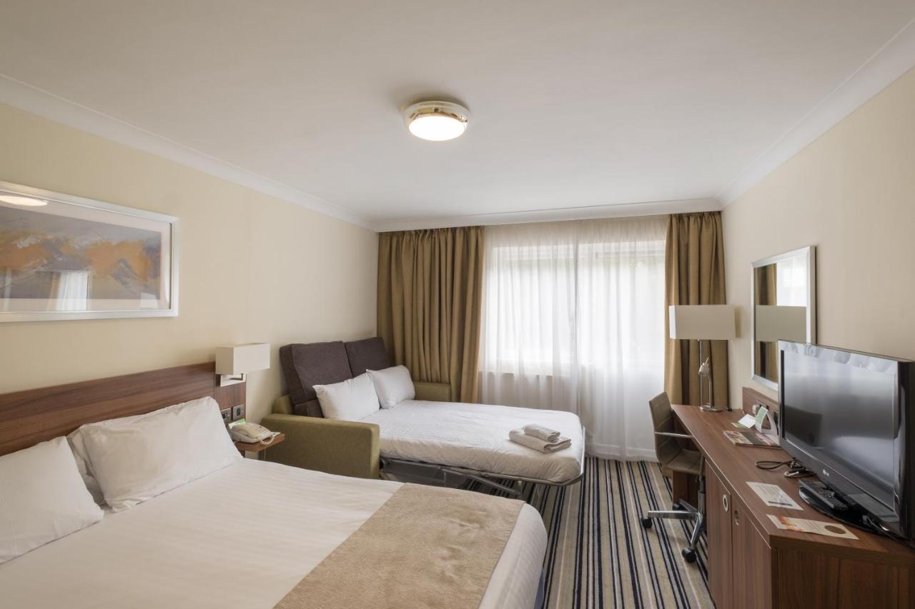 Standard Double Room Sofa Bed,1706609948:JPEG