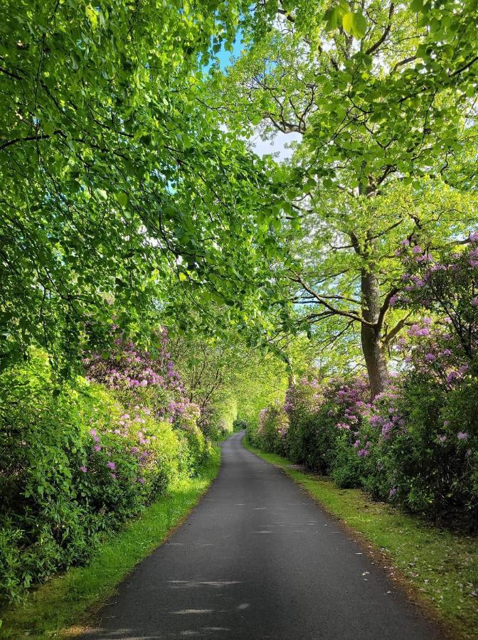 Deluxe Double or Twin Room with Garden View,1174975784:JPEG