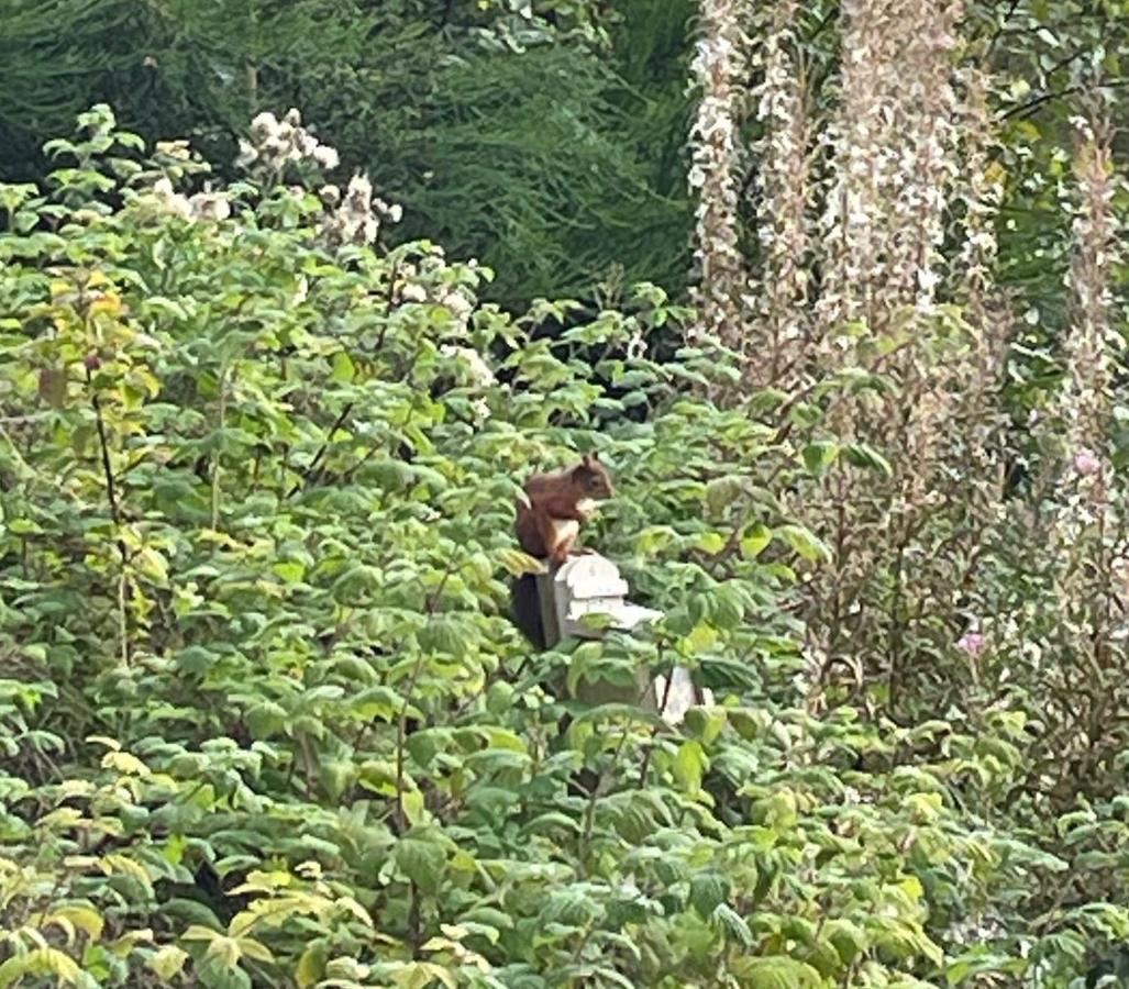 Holiday Home,1482794204:JPEG