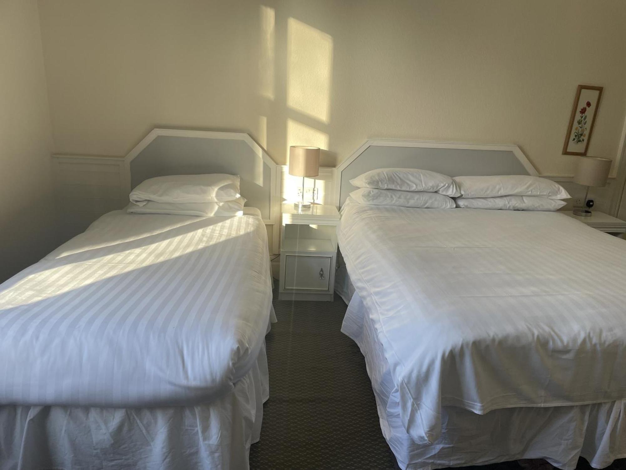 Superior Twin Room,1539336367:JPEG