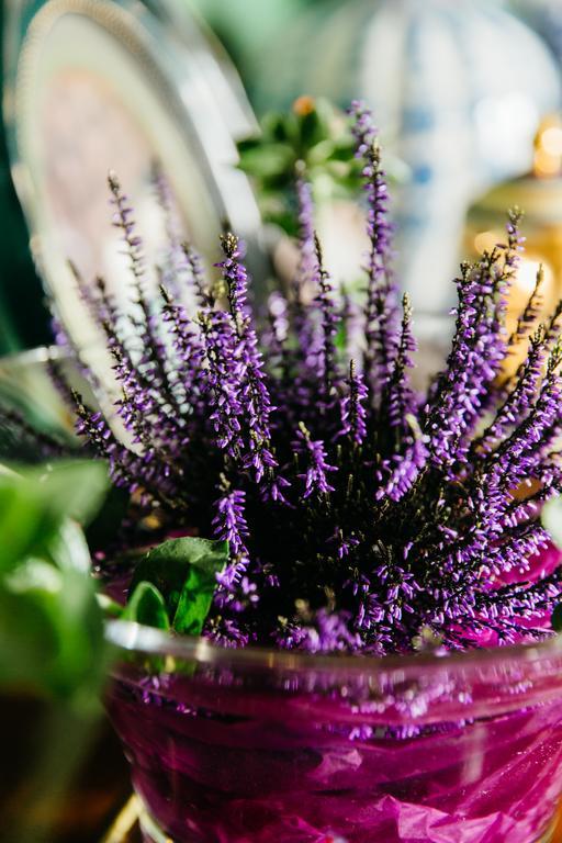 Twin Room,324300605:JPEG