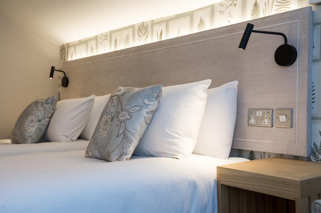 Standard Twin Room,450864099:JPEG