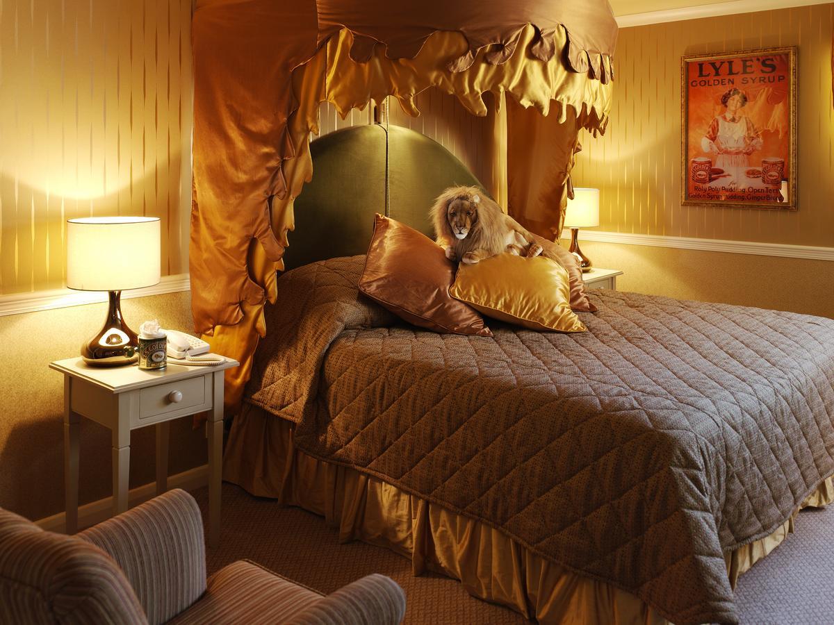 Theme Twin Room,736148896:JPEG