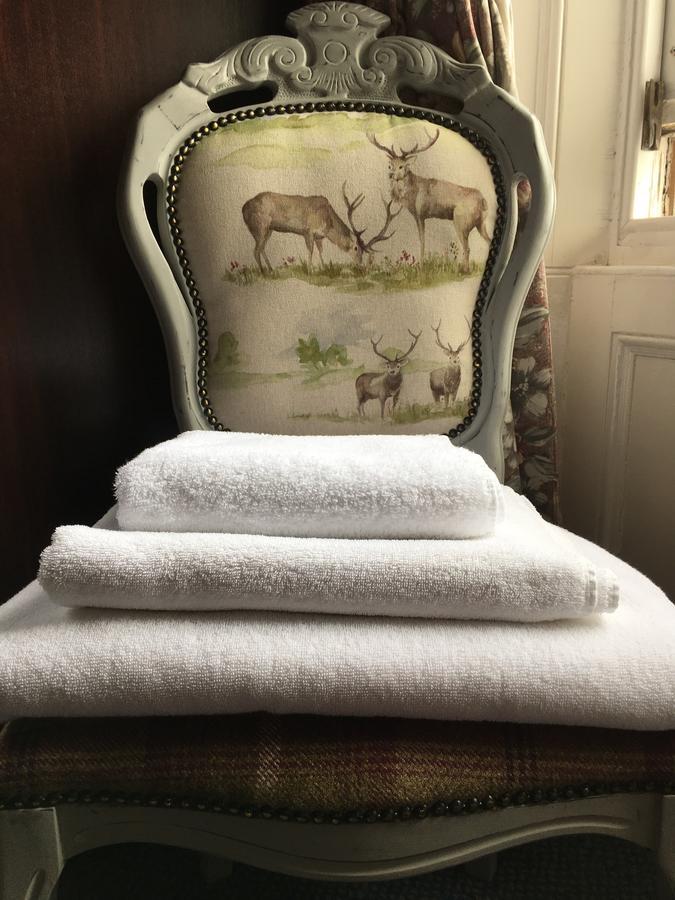 Budget Single Room,1132605084:JPEG