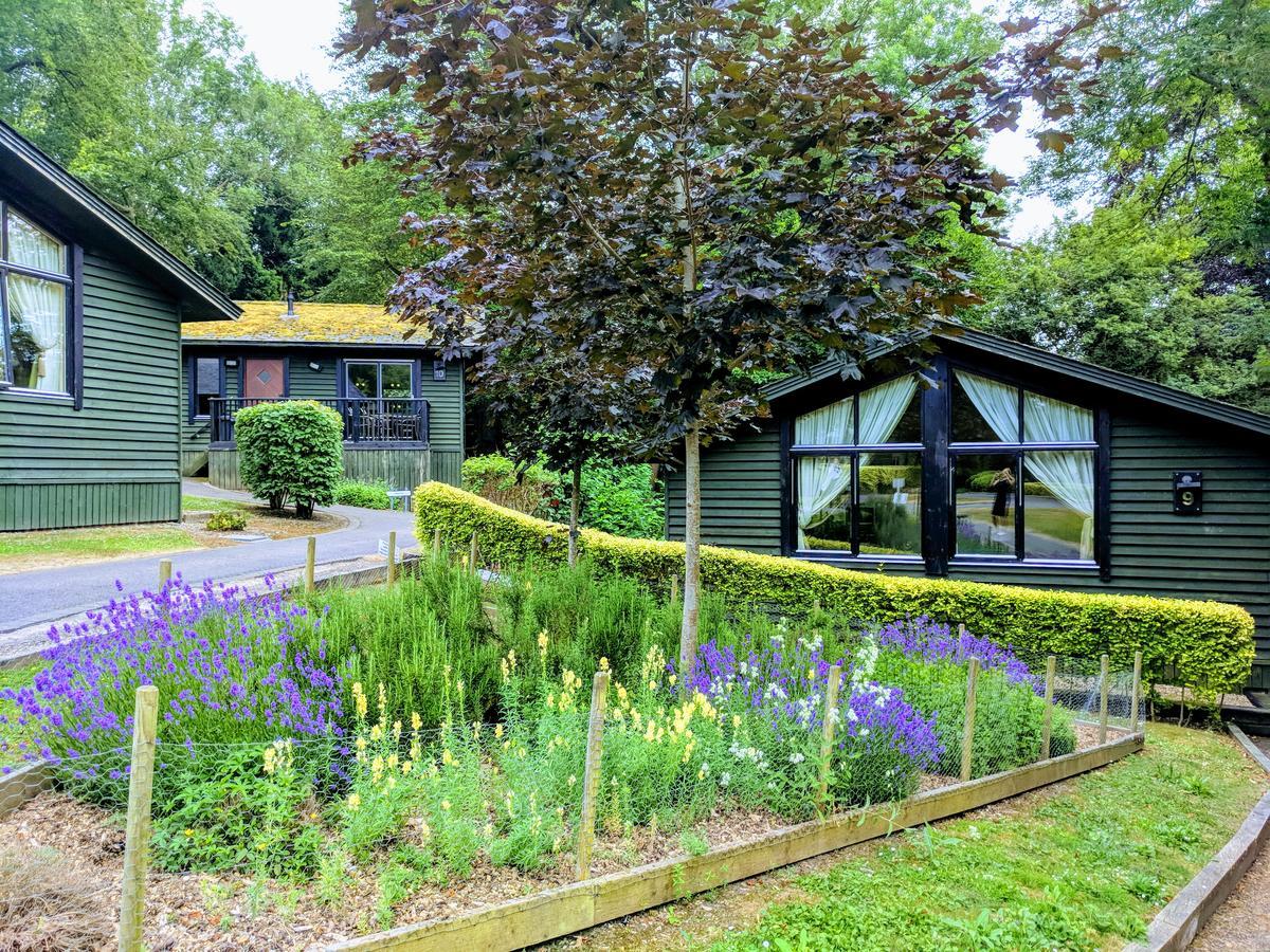 Lodge,669743136:JPEG