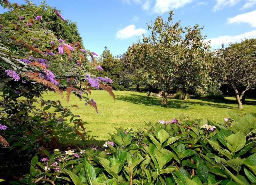 Premier Twin Room with Garden View,402017985:JPEG