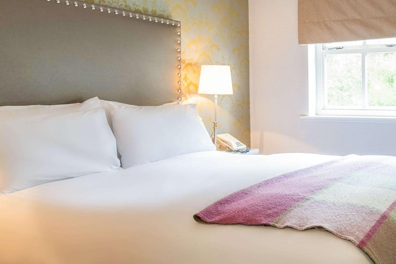 Standard Double Room,960404641:JPEG