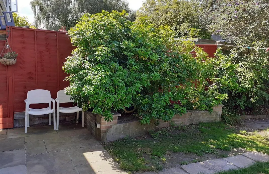 Newly Decorated & Furniture, 2 Single Beds, Large Room, Sofa, Netflix, Garden View, Patio & Seating-1