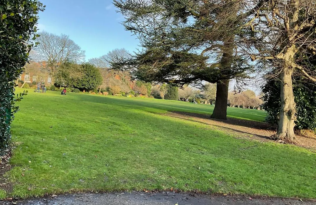 Park View-1