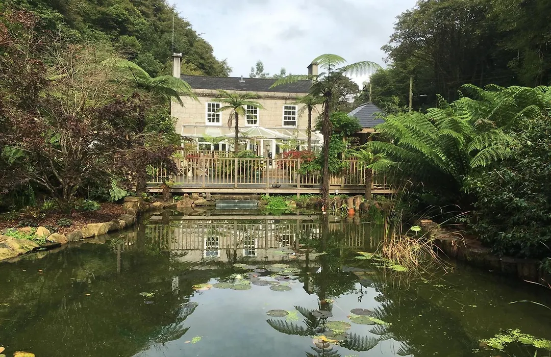 The Waterwheel-1