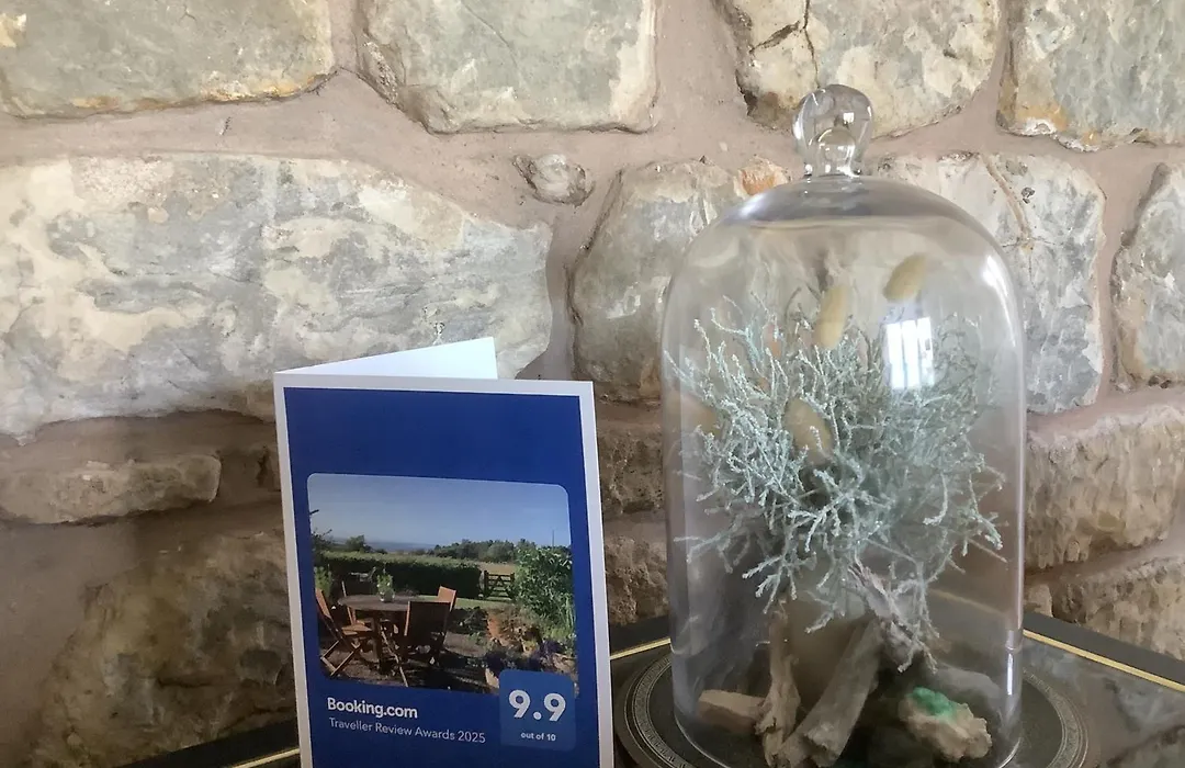 Balmungo Cottage B&B-1