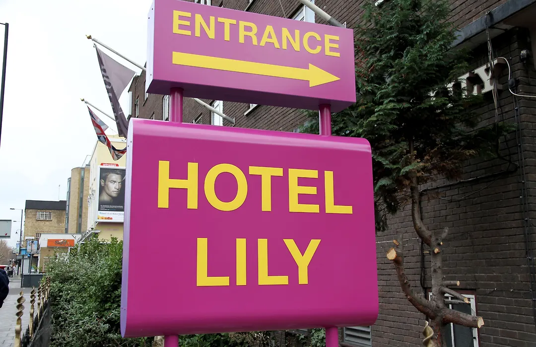 Hotel Lily-1