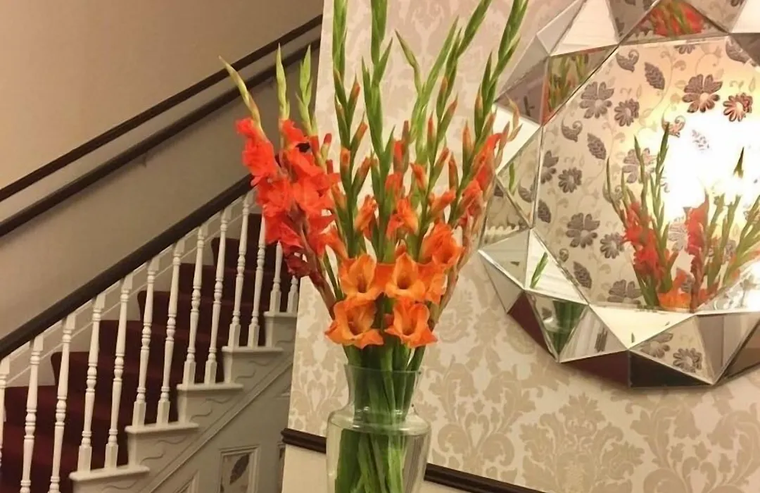 Chaston Manor Hotel-1
