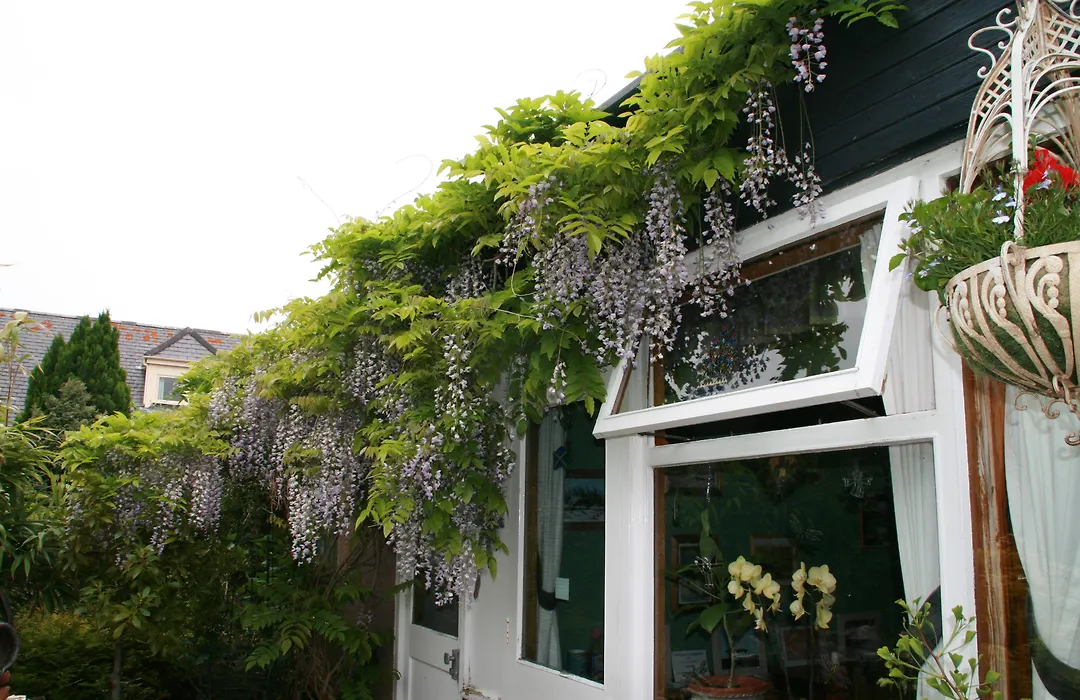Greenlawns-1