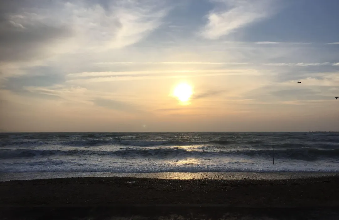 The Beach House-1