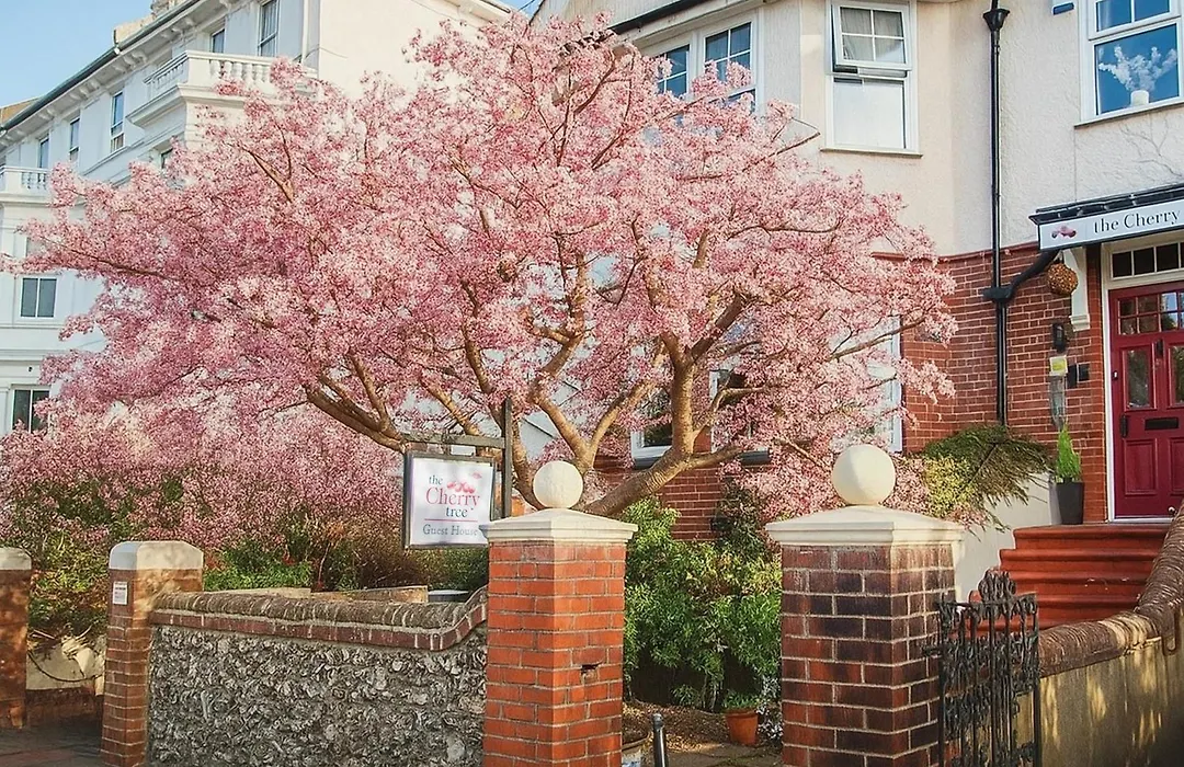 The Cherry Tree B&B-1