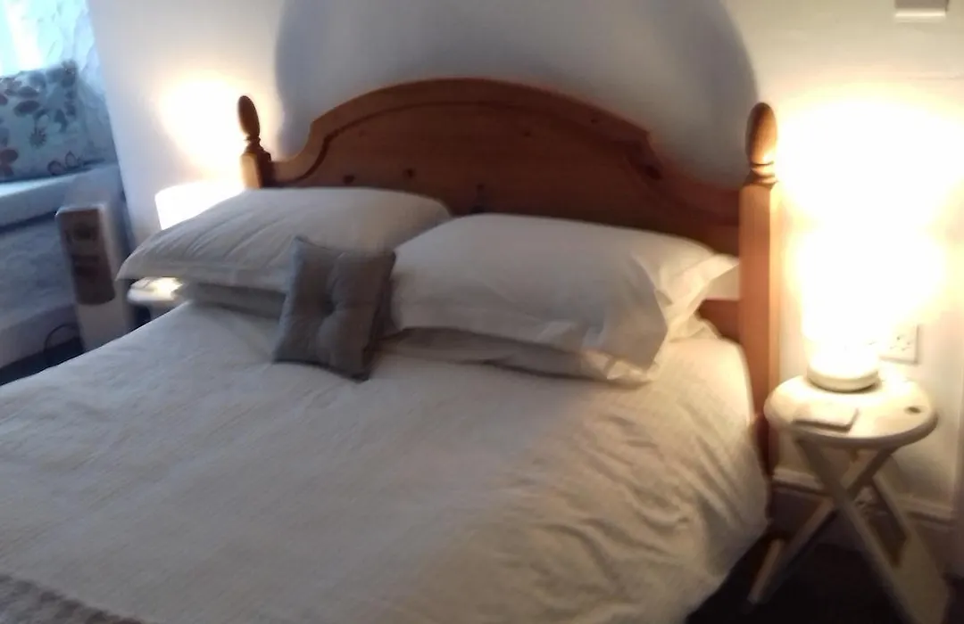 Holly Cottage Vintage B&B-1