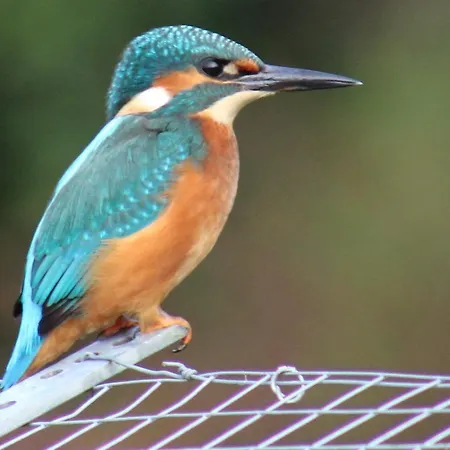 Langdale Lodge At Langdale Lakes, Lincoln Ln3 5Bb-3