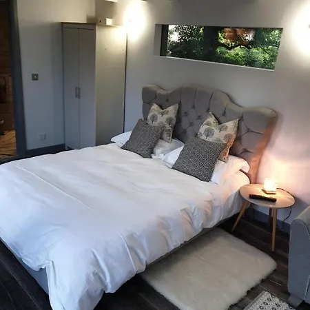 The Cozy Shed-3