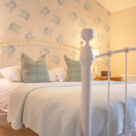 The Wilton-3