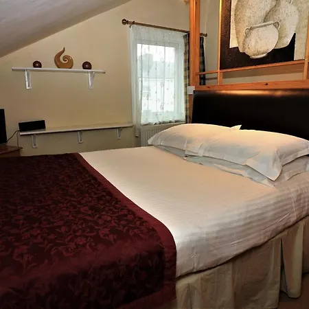 The Berkeley Guesthouse-2