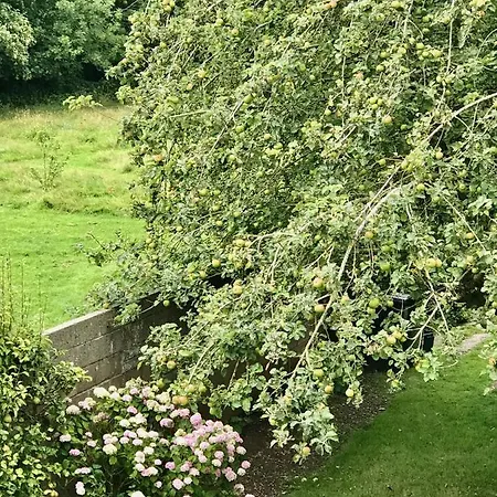 Fox View Guesthouse-3
