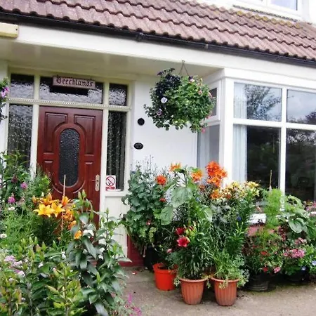 Beechlands B & B-2