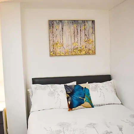 Birmingham City Centre Apartment Room Near China Town-2