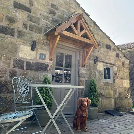 Saltonstall Airbnb-3