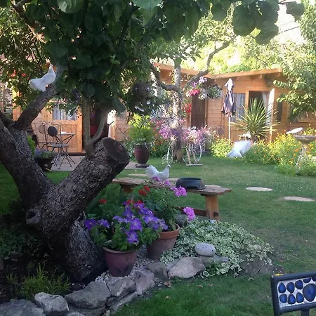 Alice Guest House-2