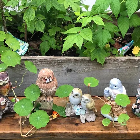 Owly 'Ouse-3