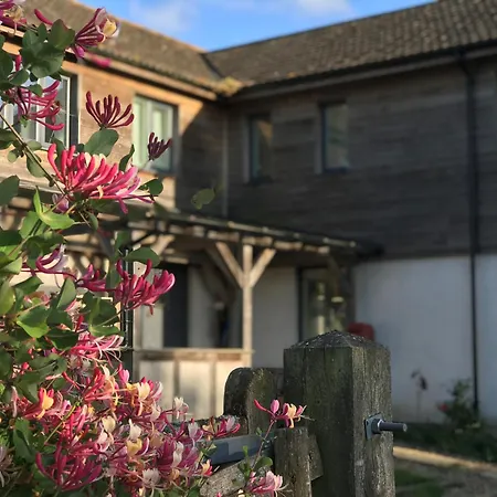 Withy Farm-2