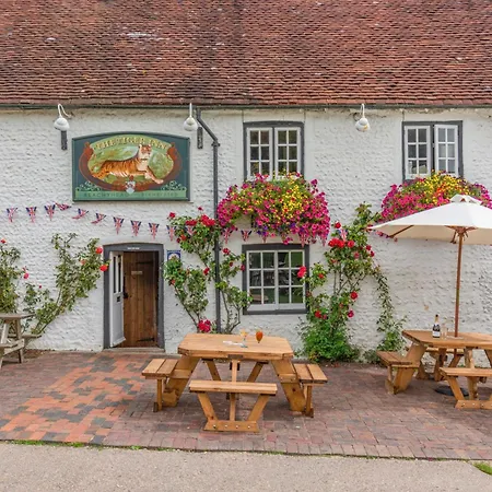 Tiger Inn _ Minnie-2