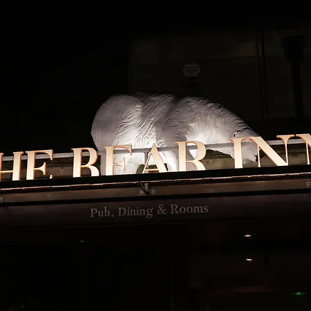 The Bear-2