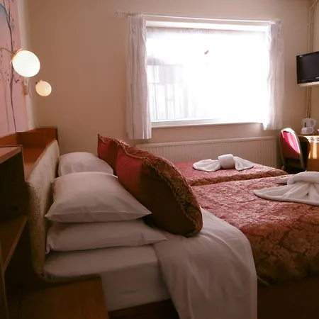 The Ellesmere Hotel Eastbourne-3