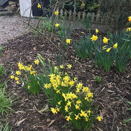 Craggallan Guest House-2