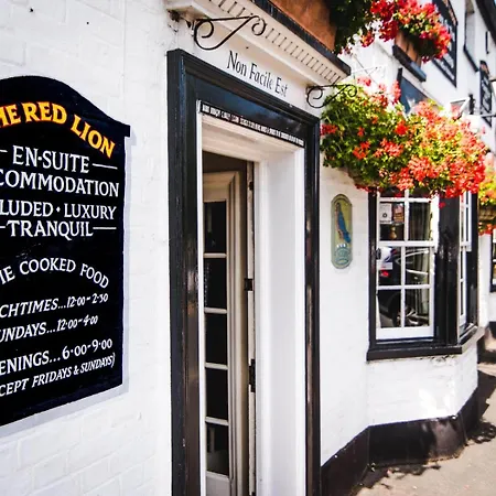 The Red Lion-3