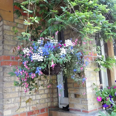 Ivy House B&B Oxford-3