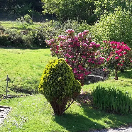 Ben Nevis Guest House-3