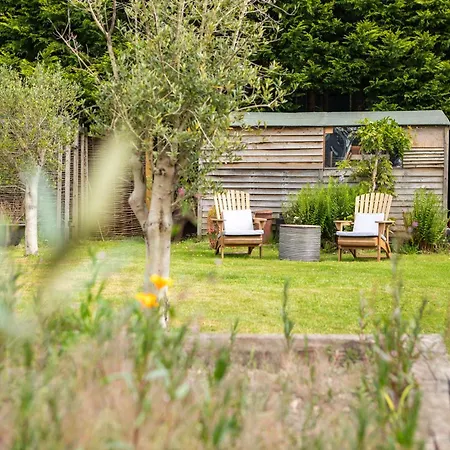 Daisybank Cottage Boutique Bed And Breakfast-3