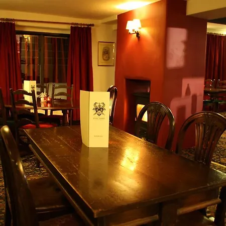 Pyne Arms-3