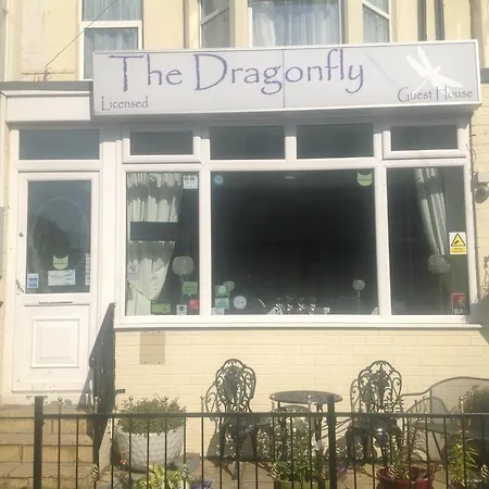 The Dragonfly-3
