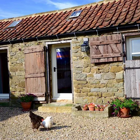 Folly Hall Farm-3