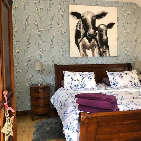 Farm View Hall Bed And Breakfast-2