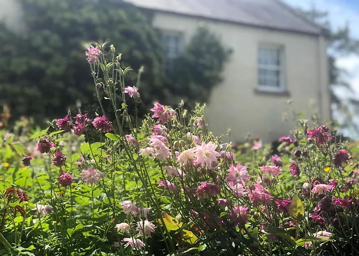 Dalton House Bed And Breakfast