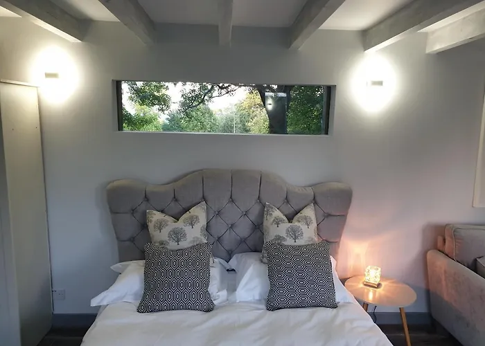 The Cozy Shed
