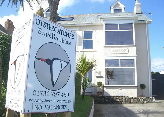 Oystercatcher St Ives 