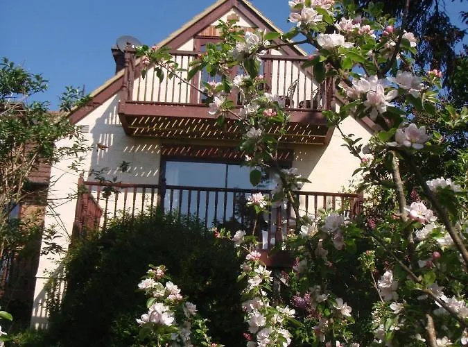 Skerries B And B Lyme Regis