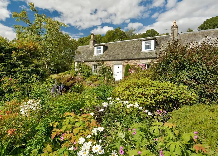 Wintergreen Pitlochry