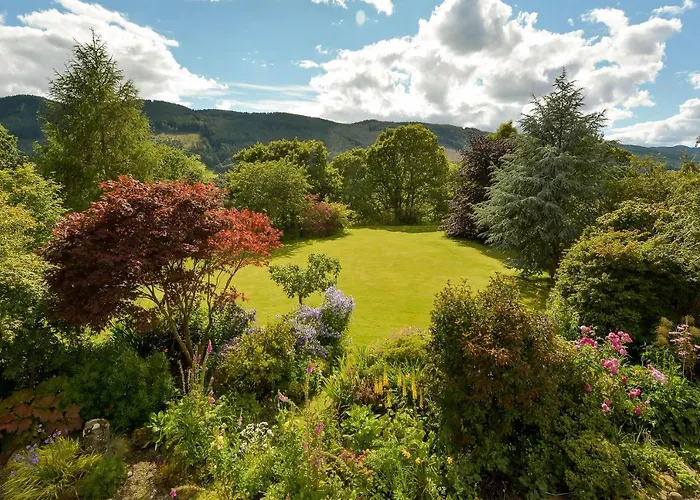 Wintergreen Pitlochry